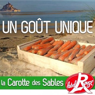 carottes des sables