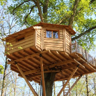 La cabane des Grands chênes, dans l'Oise ©CRT Picardi, Photo AS Clément