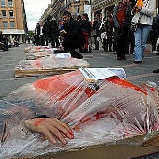 1328141-toulouse-manifestation-de-l-association-fermons-les-abattoirs - Copie