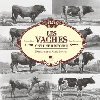 les-vaches-vignette