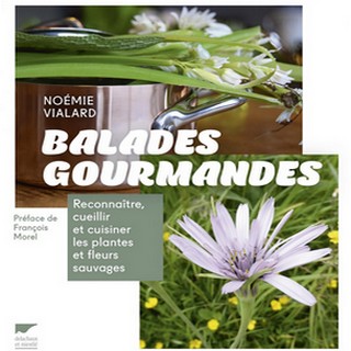 balades gourmanes vignette