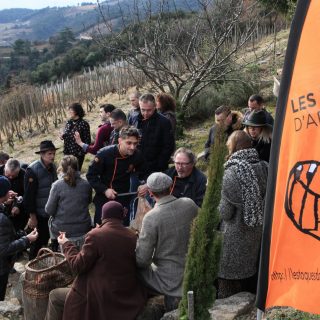 Les Fous de l'ardeche