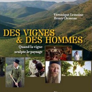 Des-vignes-et-des-hommes