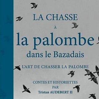 La-chae-a-la-palombe-dans-le-Bazadais vignette