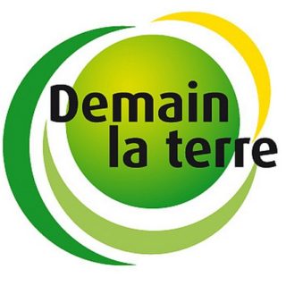 logo demainlaterre