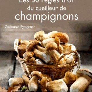 mini larousse champignons