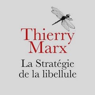 La-Strategie-de-la-libellule vignette