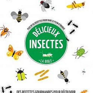 couv livre insectes - 350