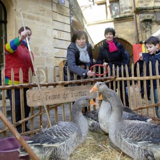 © sarlat fest'oie