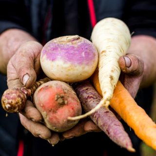 ©PrincedeBretagne-L'Oeil de Paco - Prince de Bretagne-Légumes anciens-mains HOME