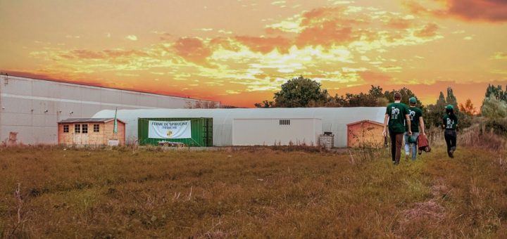 la ferme urbaine de spiruline à Villeneuve d'Ascq ©DR
